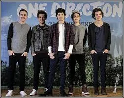 Qui a invent le nom :  One Direction  ?