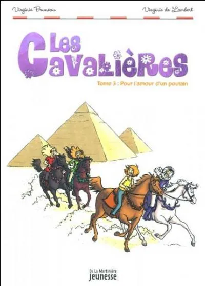 Ce superbe anglo-arabe noir appartient  Sbastien, qui manque vraiment de finesse avec son cheval qui a pourtant un grand potentiel. Quel est son nom ?