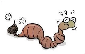 Combien sommes-nous pour tre varis ?