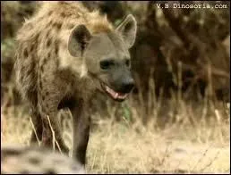 Combien sommes-nous si nous sommes les habitantes d'une ville de l'Aube ?
