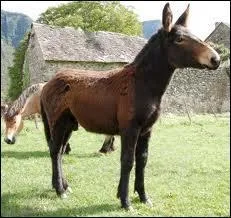 Combien serez-vous si vous souhaitez faire semblant ?