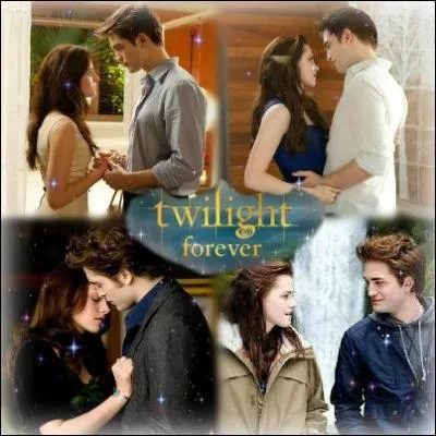 [Twilight 2] De quelle couleur est le K-way que Bella porte au moment de la rupture dans les bois ?