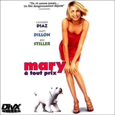 Mary  tout prix : au Qubec ...