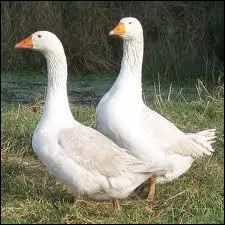 Combien serons-nous pour devenir des sans abris ?