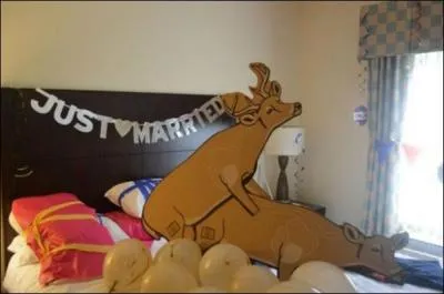 A quel animal donne-t-on le nom de  hre  ?