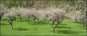 Combien doit-on tre pour nous carter du sujet ?