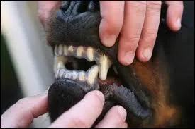 Combien devons-nous tre pour coordonner parfaitement le son et l'image ?