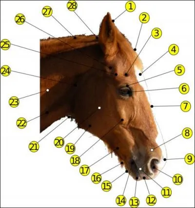 Quelle est la partie du numro 24 ?