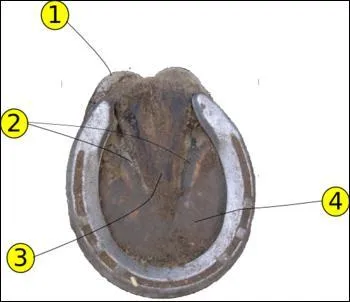 Quelle est la partie numro 1 ?