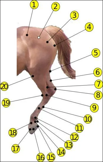 Quelle est la partie du numro 20 ?