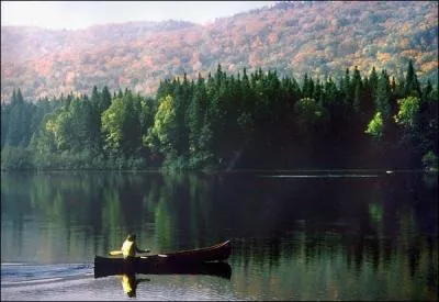 Quelle est la devise du Qubec ?