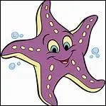 Quelques fronts de mer. Comment appelle-t-on le front de mer situ  Cannes ?