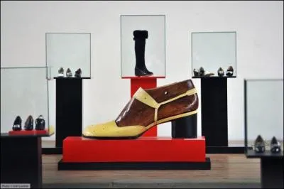 O se trouve le muse international de la chaussure ?