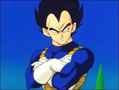 Qui est Vegeta ?