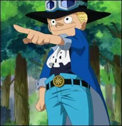 Comment s'appelle l'ami de Luffy et Ace ?