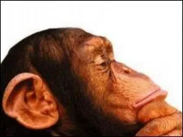 Qui a dit que les singes ne savaient pas rflchir ? Une personne inspirant un artiste s'appelle :