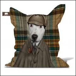 Nom d'un chien ! Selon Brian Aldiss, l'imagination :