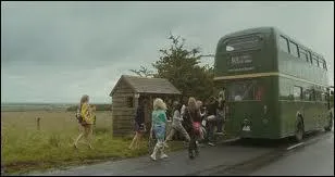 Quel est le numro d'immatriculation du car ?