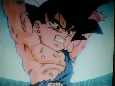 Quelle attaque ultime Goku fait-il contre Li Shenron ?