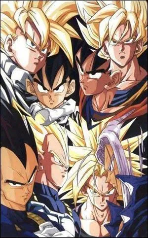 Les saiyans ont des noms de :