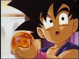 Pourquoi Sangoku est-il redevenu enfant ?