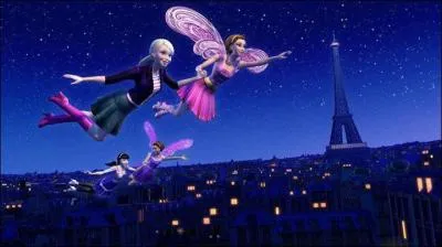 Combien de fois les princesses peuvent-elles venir dans le monde magique ?