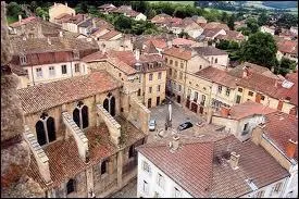 Je vais vous faire visiter l'abbaye de Cluny (rgion Bourgogne). Dans quel dpartement irons-nous ?