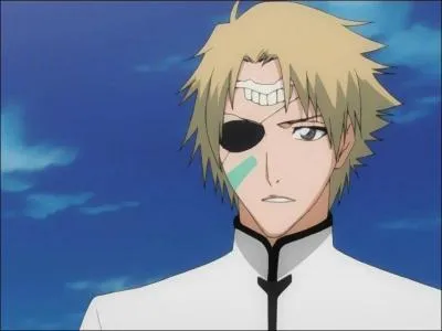 Comment s'appelle l'Arrancar qui l'accompagne ?