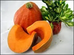 Quel est ce membre de la famille au nom curieux, qu'on dirait fait de deux noms diffrents ?