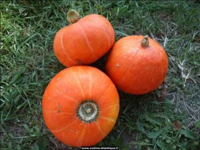 Quel est ce membre de la famille, qui porte le mme nom que le copain de Oui-Oui ?