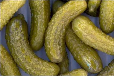 Quel est ce membre de la famille, qui peut constituer aussi une insulte pour un homme niais ?