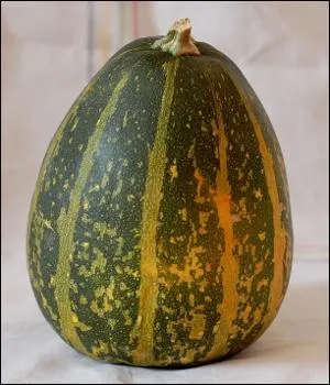 Quel est le nom de cette cucurbitace,  la saveur point trop affirme ?