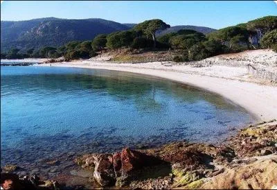 Dans quelle rgion franaise se trouve la plage de Palombaggia ?