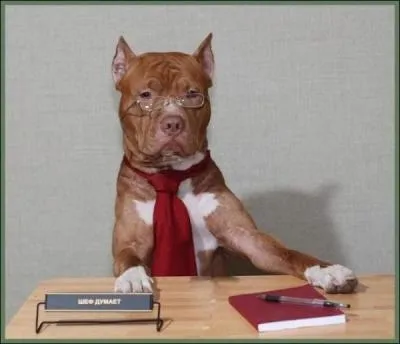 Quel est le mtier reprsent par ce chien ?