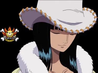 Comment s'appelait Robin au Baroque Works ?