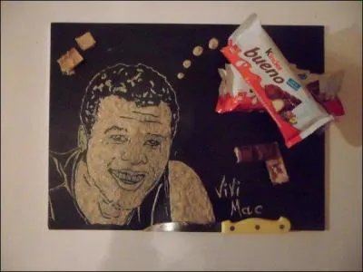 Quel tournoi du Grand Chelem Jo-Wilfried Tsonga a-t-il gagn ?