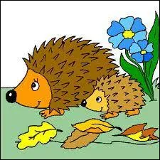 Le hrisson fait-il partie des animaux hibernants, c'est  dire entrant en lthargie au-dessous d'une certaine temprature ?