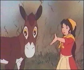 Comment se nommait l'ne dans  Les mmoires d'un ne  de La comtesse de Sgur ?