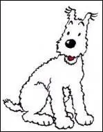 Quel est ce personnage ?