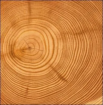 Au bout de combien d'annes de mariage clbre-t-on les noces de bois ?