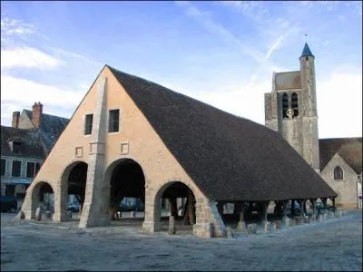 Dans quel dpartement pourrez-vous admirer les magnifiques halles d'Egreville datant du quinzime sicle ?