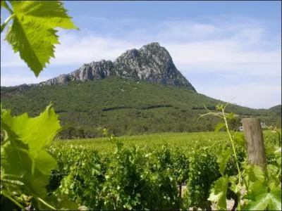 Quelle est cette hauteur situe  une vingtaine de kilomtres au nord de Montpellier, visible d'une grande partie du dpartement de l'Hrault ?