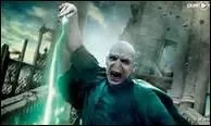 Qui a tu Lord Voldemort ?