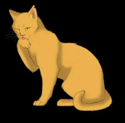 Quels sont les noms de guerriers de Petit Fauve et Petite Boule Dor�e ? (1 r�ponse)