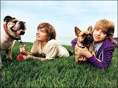 Comment est Zack et comment est Cody ?