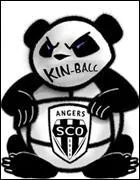 Quel est votre sport prfr ? (Plusieurs rponses possibles ^^)