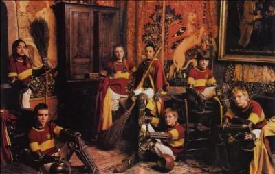 Quel joueur de Quidditch de Gryffondor est rest inconscient durant une semaine aprs avoir pris un Cognard en pleine tte ?