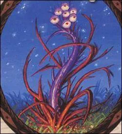 Qui a t marie avec Elphinstone (un employ du ministre de la magie tu accidentellement par une tentacula vnneuse) ?