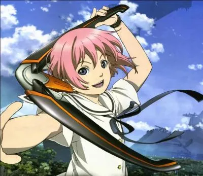 Dans quel anime ces personnages apparaissent-ils ?