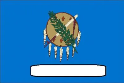  quel tat appartient ce drapeau ?